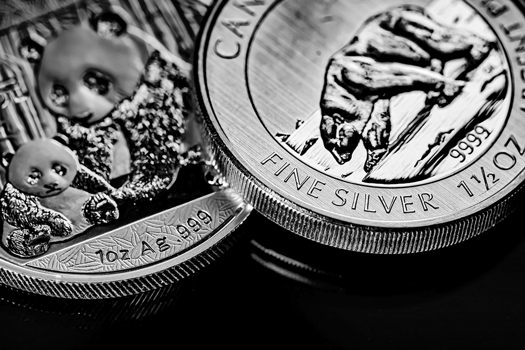 macro-close-up-of-silver-bull